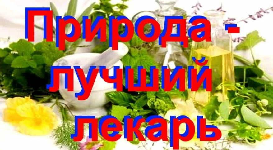 Природа лучшая аптека. Старость