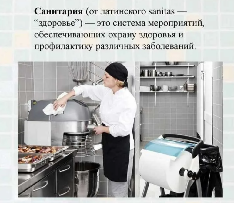 Природа лучшая аптека. Санитария