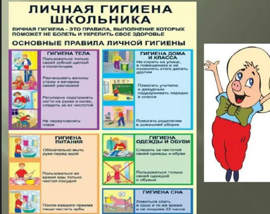 Санитария школьная
