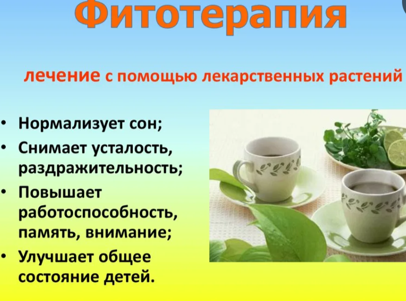 Фитотерапия: что это, виды, польза и противопоказания