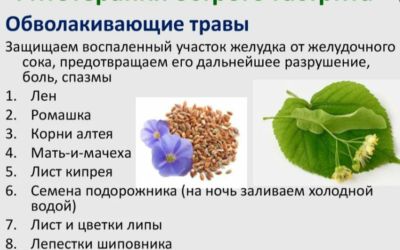 Фитотерапия: что это, виды, польза и противопоказания