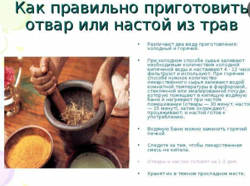 Как заваривать травы: дозировки, способы, курс